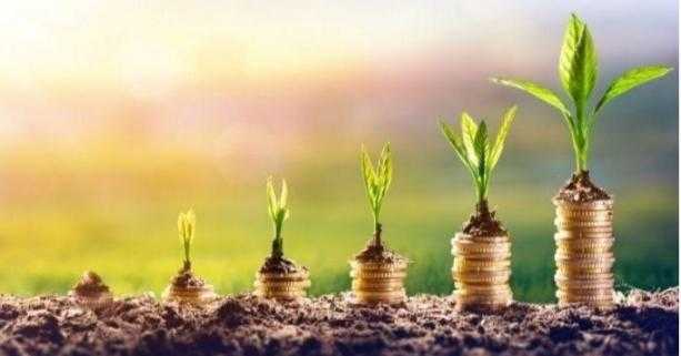 Сільгоспвиробникам спрямували 4,7 млн грн державної підтримки на будівництво об’єктів садівництва