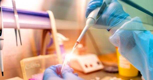 На Львівщині зафіксовано 172 нових випадки захворювання на коронавірус