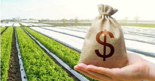 Ринок землі на Львівщині: вартість паю вдвічі вища за середню по Україні