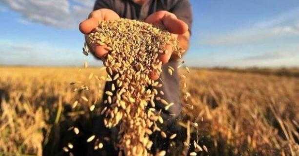 Весняний день рік годує: як аграрії Львівщини проводять польові роботиНова сторінка