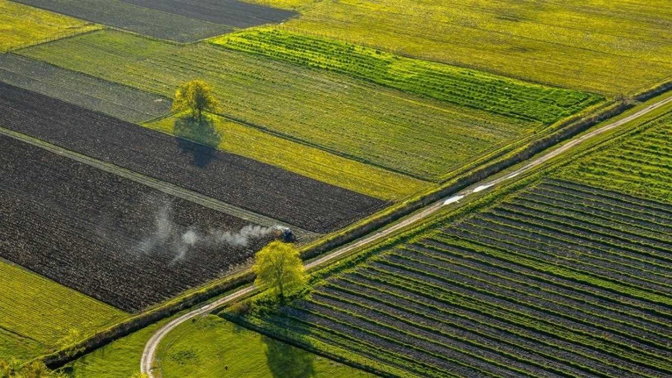 Земельні відносини в умовах воєнного часу: ключові завдання та правові новели