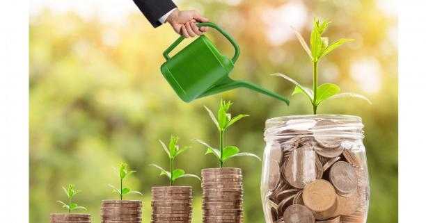 Львівщина увійшла в ТОП-5 областей-лідерів за обсягом залучених кредитів в аграрному секторі