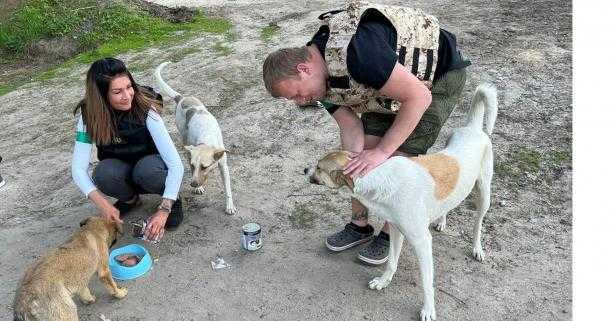 Мешканців Львівщини закликають допомагати Домівці врятованих тварин