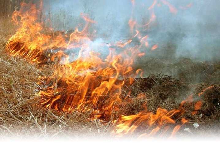 Не паліть Україну
