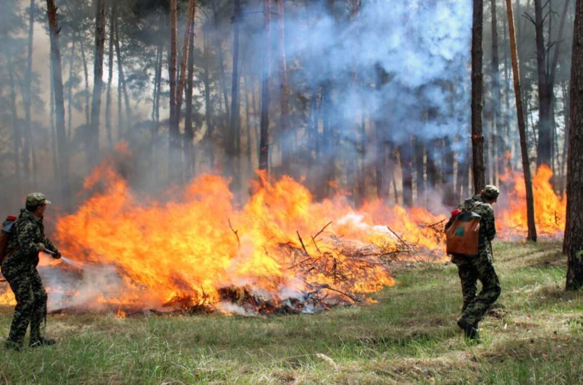 До уваги населення: на Львівщині очікують надзвичайний рівень пожежної небезпеки