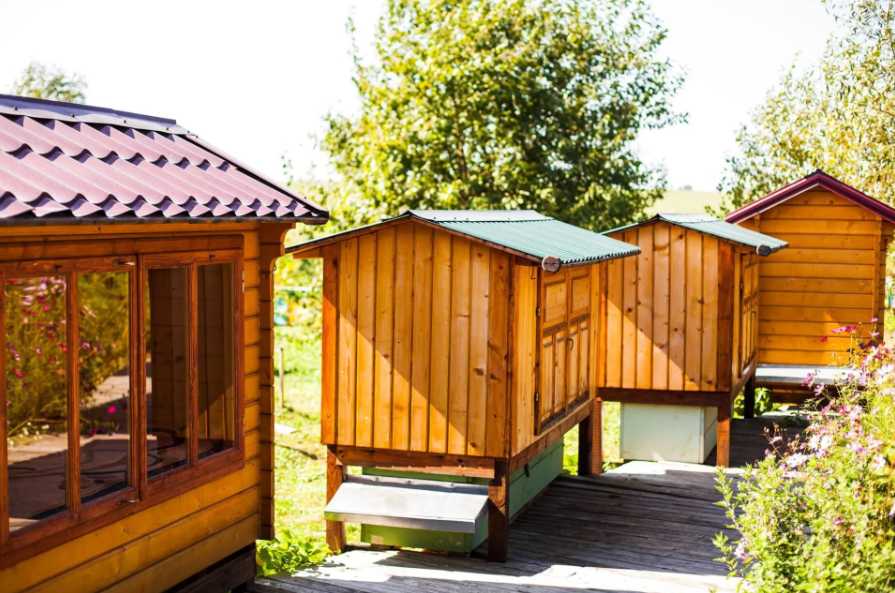 Сон на вуликах: де на Львівщині пропонують давню SPA-процедуру для зміцнення організму