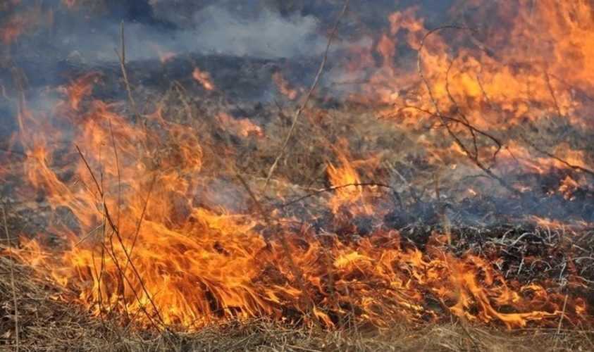 Не паліть траву: спалювання сухостою призводить до нещасних випадків