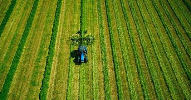 До уваги аграріїв: 23 червня відбудеться аукціон з продажу прав оренди земельних ділянок