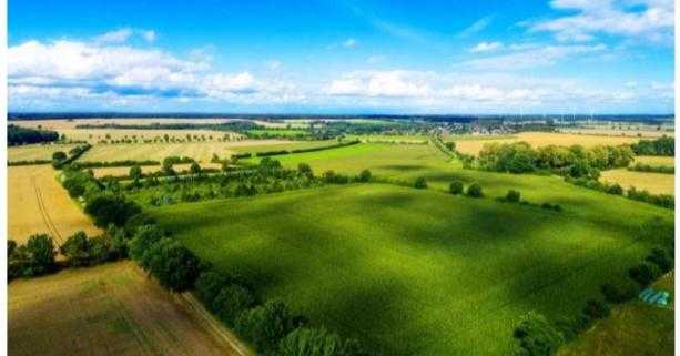 До уваги аграріїв: 24 червня відбудеться аукціон з продажу прав оренди земельних ділянок
