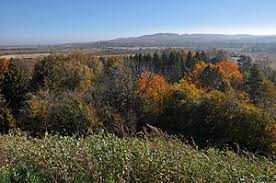 Смарагдові ландшафти та букові ліси: запрошуємо до Національного природного парку «Північне Поділля»