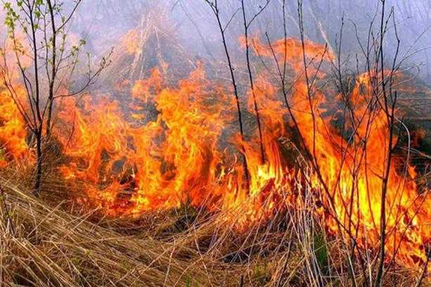 Кількість виїздів вогнеборців Львівщини на ліквідацію пожеж на відкритих територіях різко збільшилась