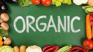Прийом заявок на грант «Підтримка органічного сектору в Україні» продовжили до 20 вересня