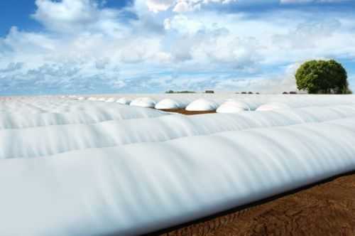 Рекомендації для аграріїв Львівщини: як правильно зберігати зерно в рукавах