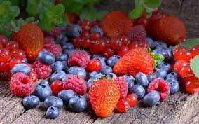 Напрями фінансової підтримки для ягідників Львівщини у 2023 році: інформує департамент агропромислового розвитку