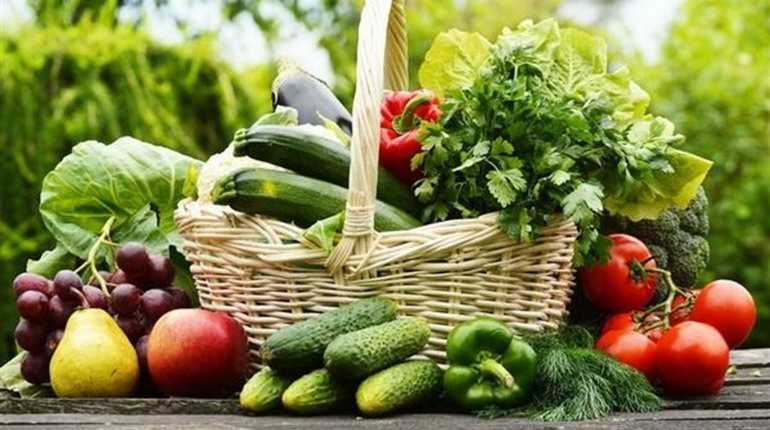 Овочівникам Львівщини повернуть половину вартості сертифікованого насіння овочів