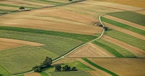 Україна відкрила ринок землі: мораторій на продаж скасований