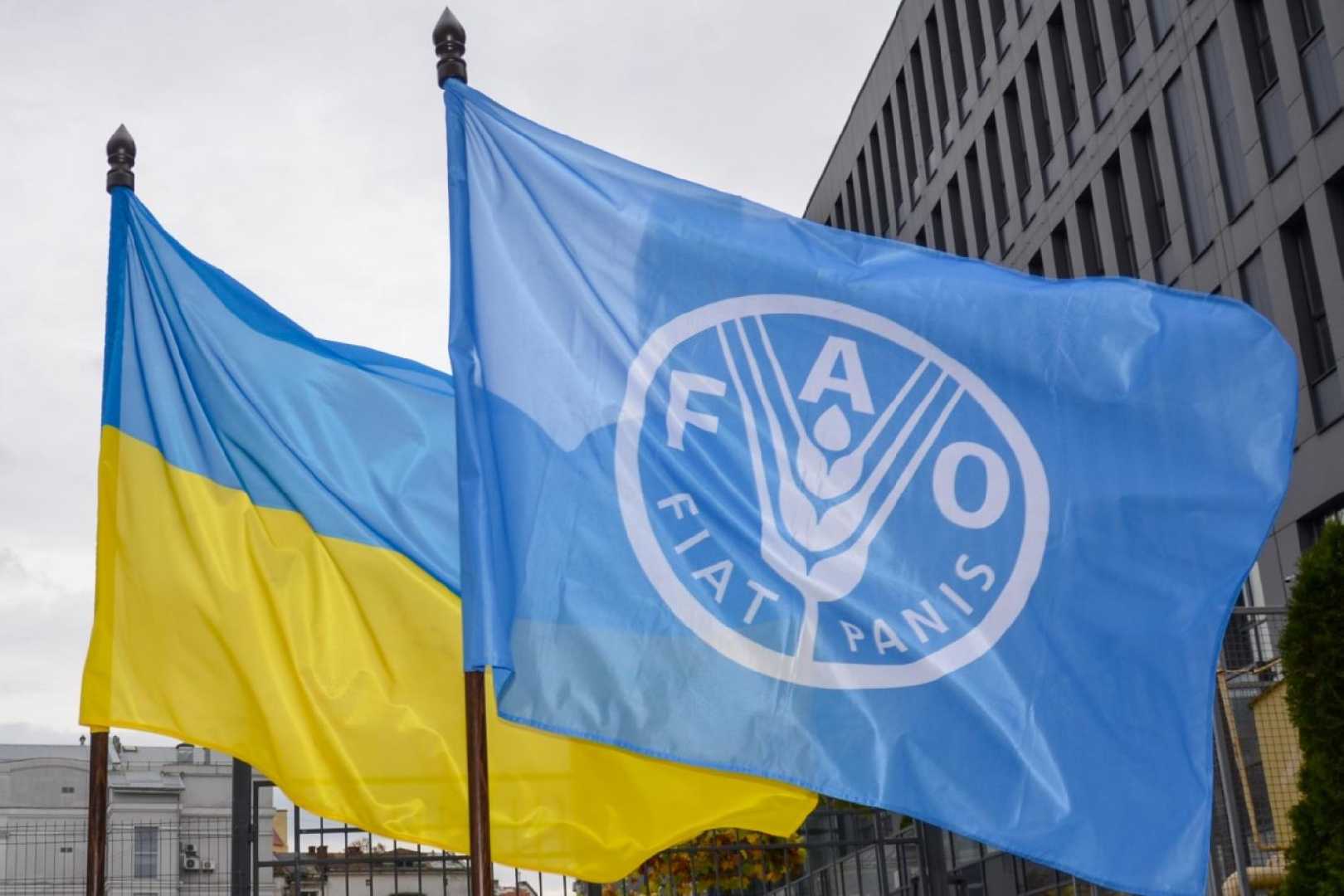 Радехівські домогосподарства отримають ваучери на закупівлю матеріальних цінностей