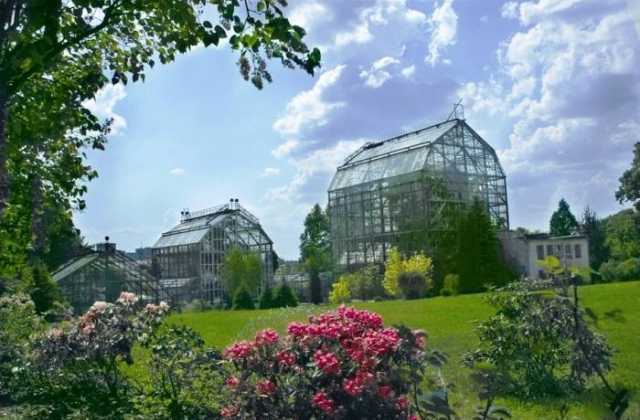 У Львові запрацював Ботанічний сад ЛНУ: коли туди можна завітати і яка вартість вхідного квитка