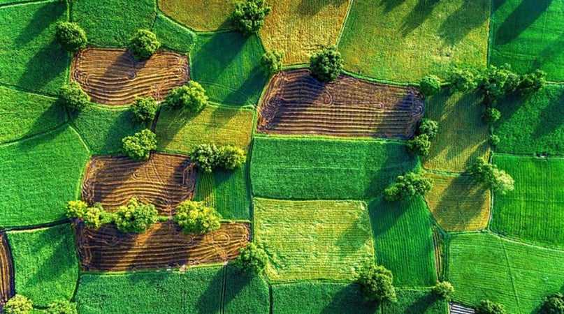 Аграріїв Львівщини запрошують взяти участь в електронних земельних торгах