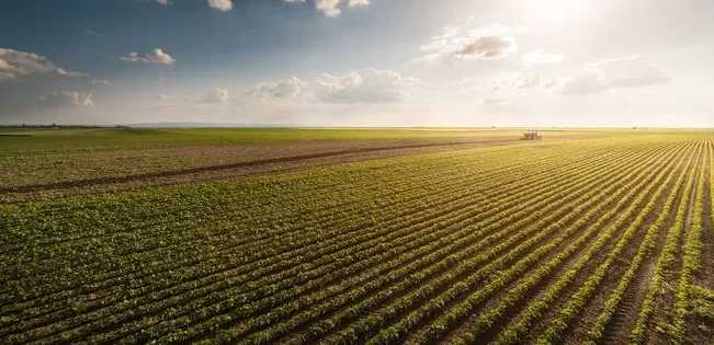Посівна-2023: посів пізніх культур на завершальному етапі 