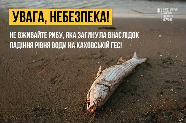 Масовий мор риби почався на Дніпропетровщині: рекомендації МОЗ щодо вживання риби у найближчий період