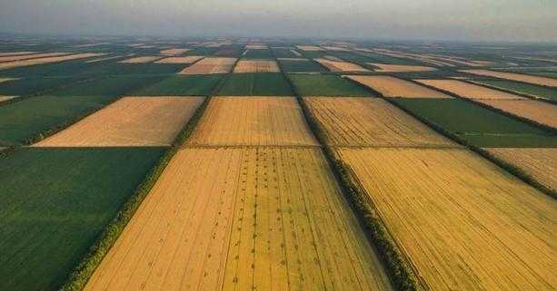 Роз’яснення про купівлю/продаж земельної ділянки за Законом про обіг земель сільськогосподарського призначення