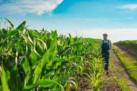 Торік на підтримку агровиробників Львівщини скерували понад 45 мільйонів гривень з обласного бюджету