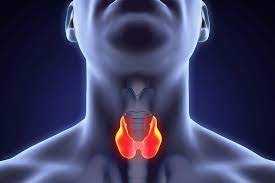 На Львівщині продовжує діяти обласна програма «Профілактика йодної недостатності серед населення Львівщини на 2023-2025 роки