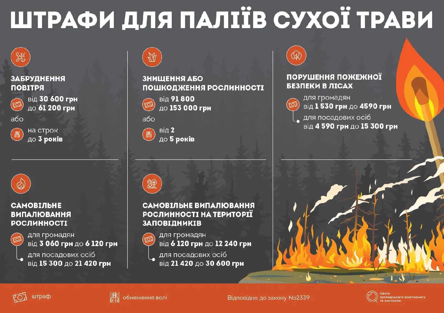 Чому не варто спалювати сухостій?