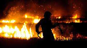 Лише за три поточні місяці на Львівщині зафіксували майже 300 пожеж в екосистемах