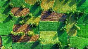 На продаж виставили земельні ділянки у Червоноградському районі