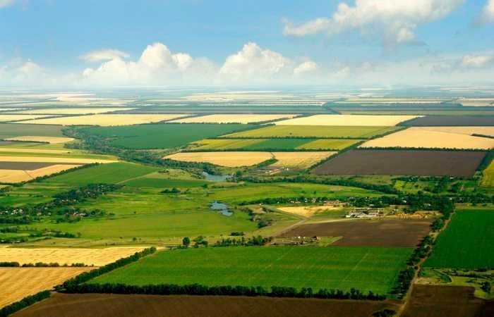 Оголошення про проведення онлайн-аукціонів з продажу прав оренди земельних ділянок