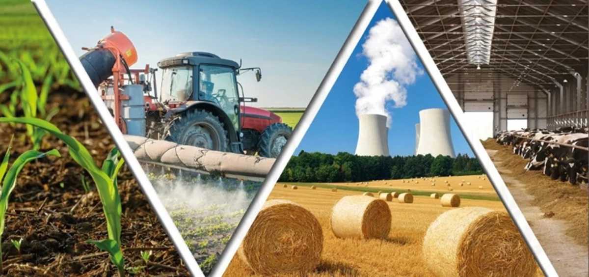 Через збільшення посівних площ на Львівщині зріс обсяг виробництва продукції рослинництва