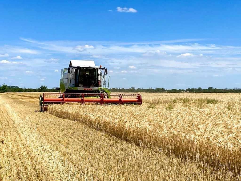 На Червоноградщині аграрії завершили жнива ранніх зернових культур