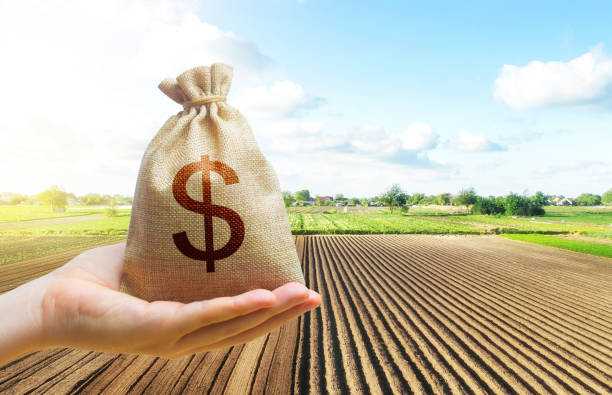 Оголошення про проведення онлайн-аукціонів з продажу прав оренди земельних ділянок