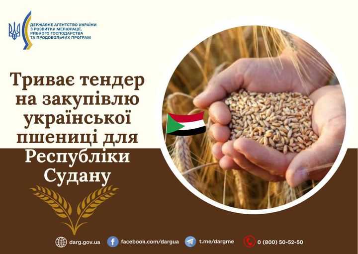Триває тендер на закупівлю української пшениці для Республіки Судану