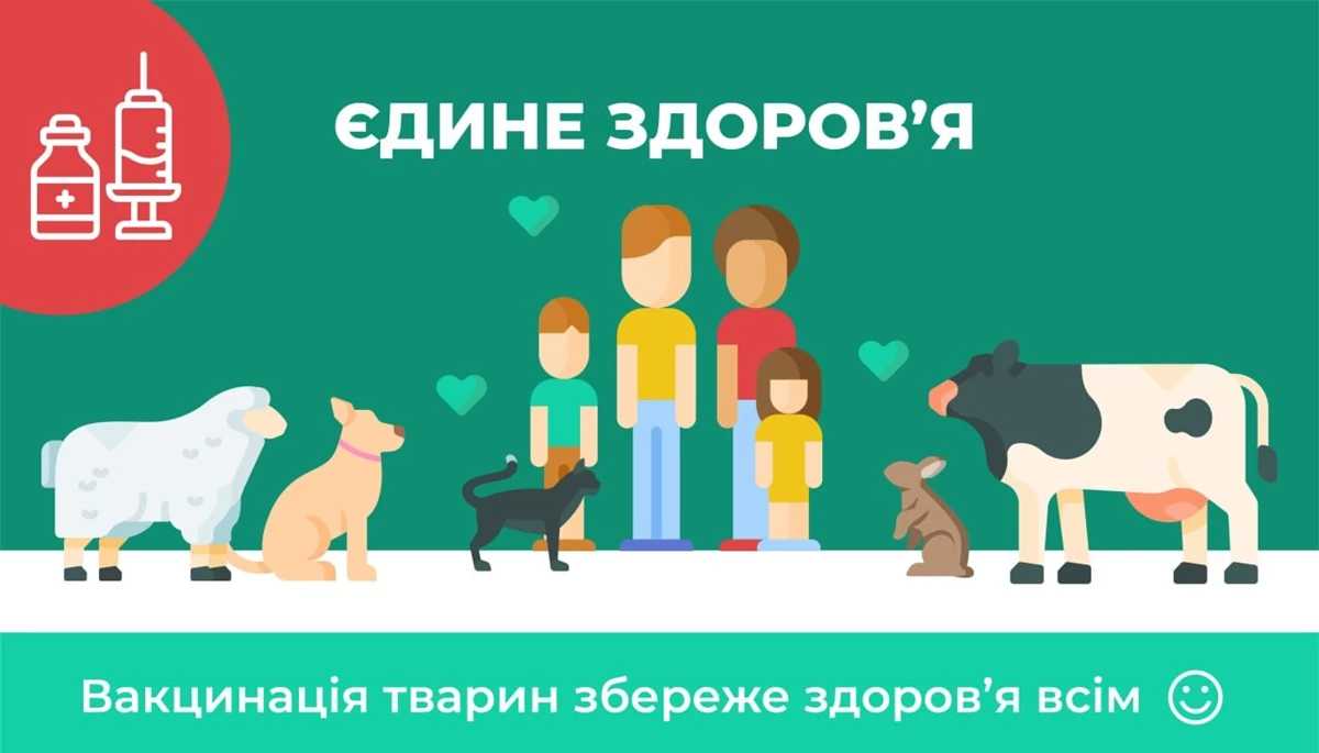 Жителям Львівщини рекомендують зробити щеплення домашнім улюбленцям, щоб уникнути виникнення сказу