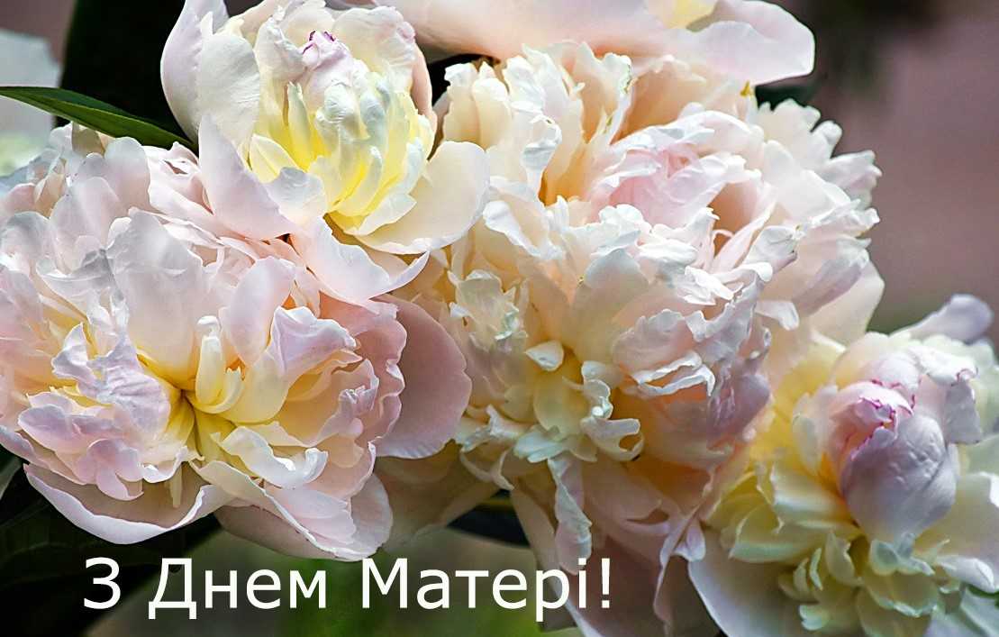 Вітання голови райдержадміністрації з Днем матері