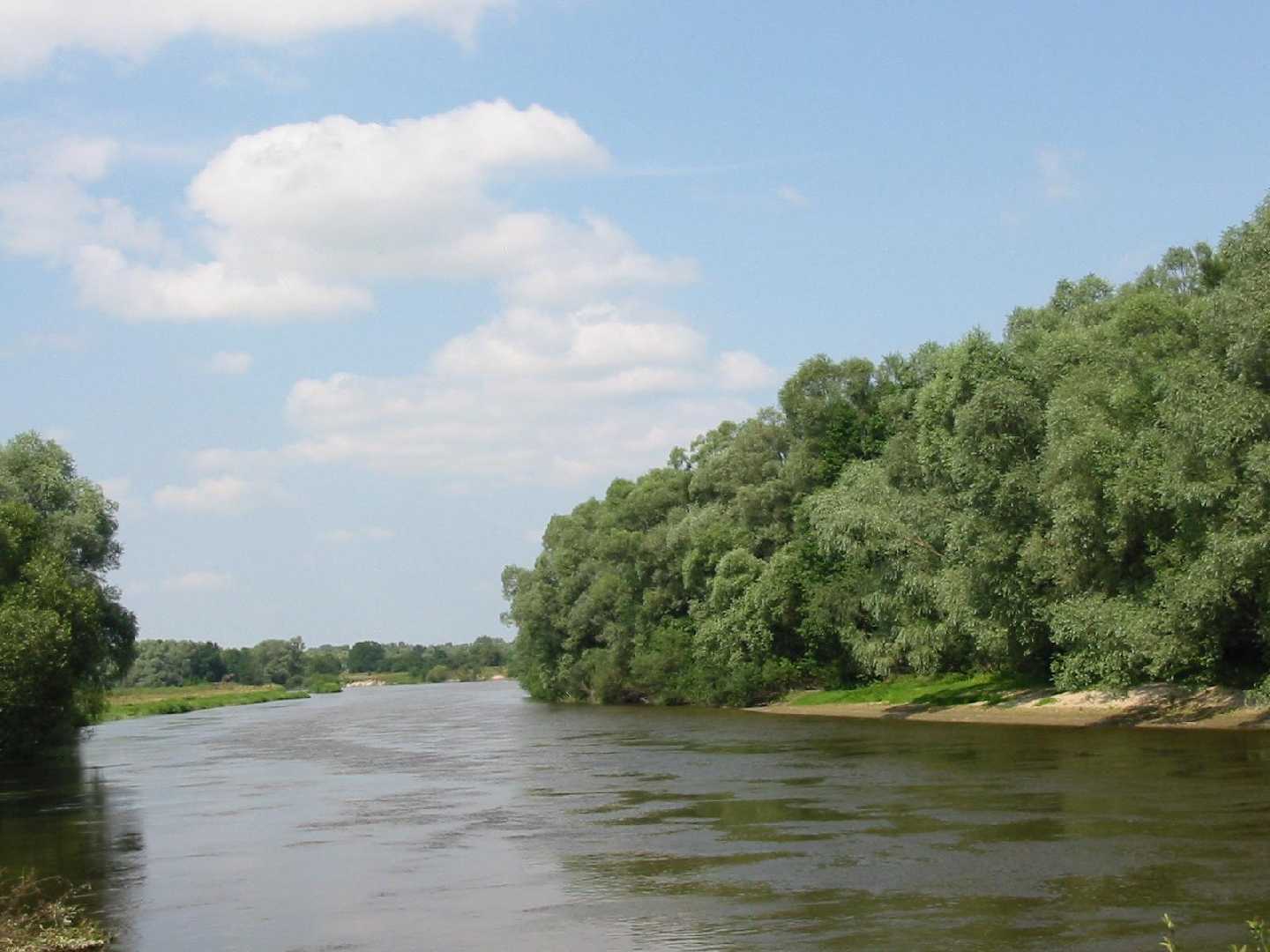 Сьогодні, 14 серпня, втретє відзначають День Західного Бугу