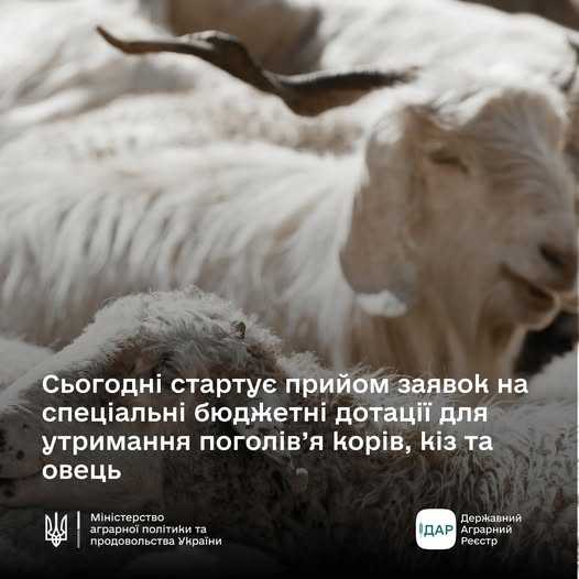 Стартував прийом заявок на дотацію для утримання поголів'я тварин