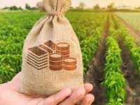 На стартапи, що сприяють підвищенню кліматичної стійкості в агропромисловому секторі, можна отримати гранти