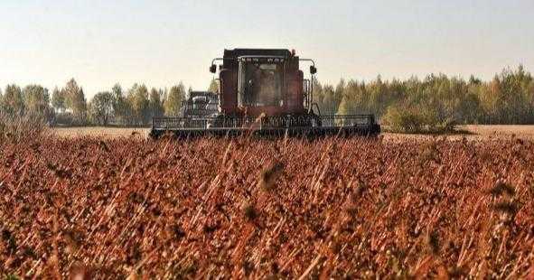 Виробники нішевих сільгоспкультур можуть отримати фінансову підтримку з обласного бюджету