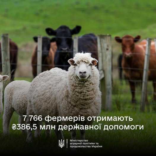 Фермерські господарства отримали перші дотаційні виплати на утримання корів та кіз/овець у 2025 році