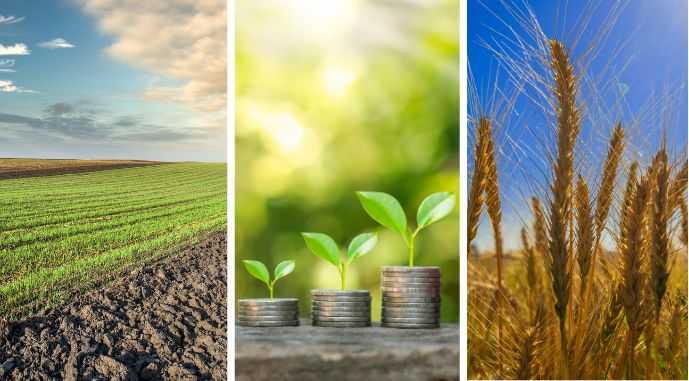 USAID AGRO оголосила старт нової грантової програми для агросектору