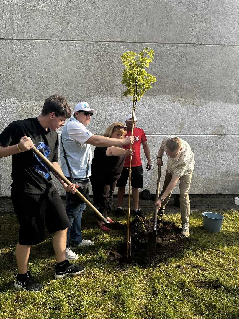 У Шептицькому висадили Дерево дружби: символ єдності громад