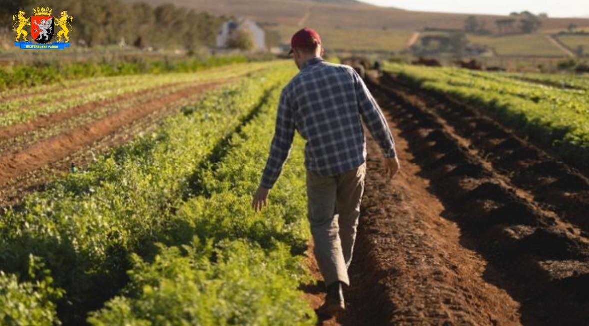  Фермерська праця — запорука добробуту краю - з Днем фермера!