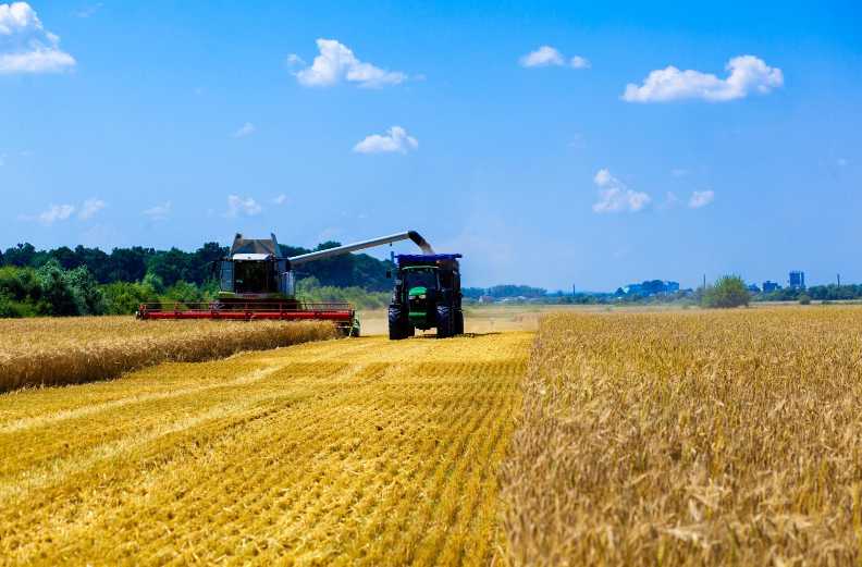 Жнива-2025 на Львівщині: аграрії активно збирають урожай попри складні погодні умови