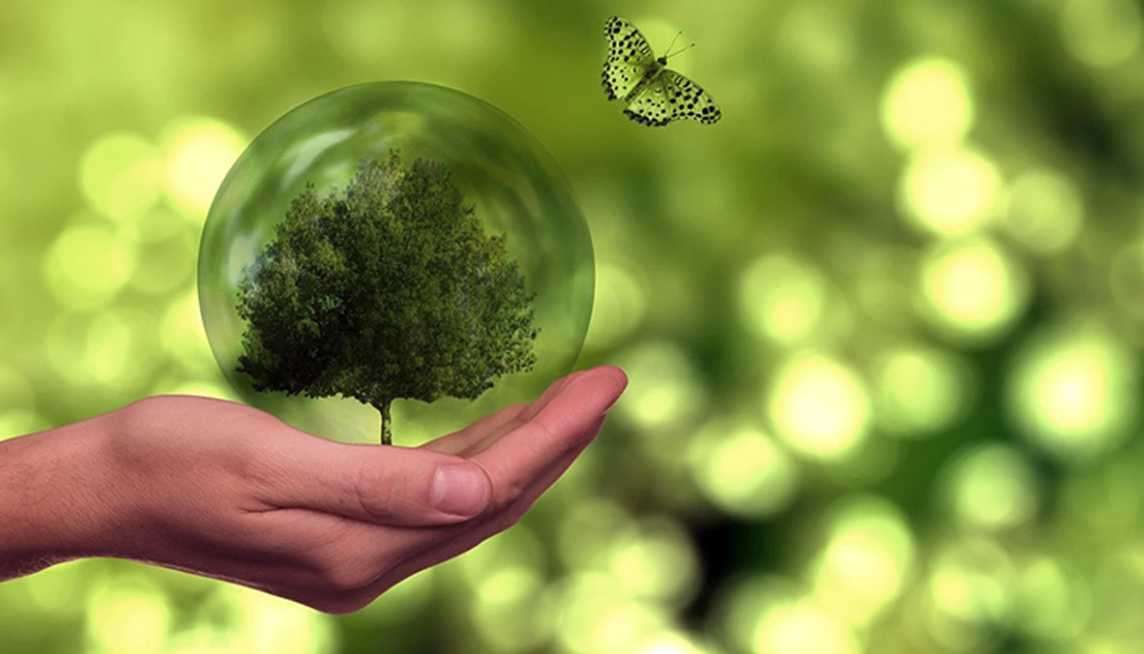 На Львівщині фахівці спільно вдосконалюють систему моніторингу якості повітря