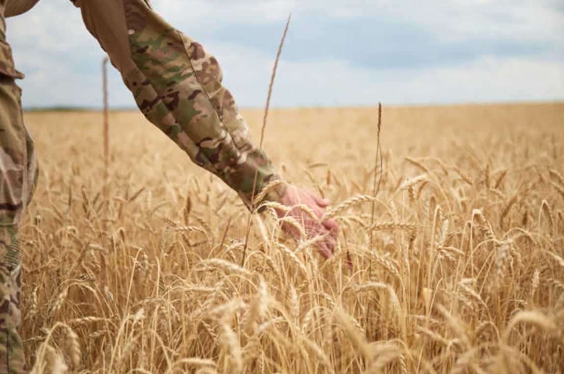 Ветерани та члени їхніх сімей можуть отримати компенсацію за агротехніку та обладнання