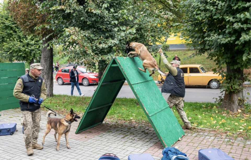 Чотирилапі помічники прикордонників відвідали Сокаль